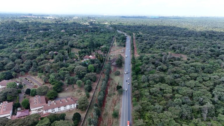 road arial lami